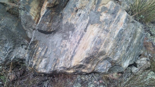 Гигантские зелёные валуны для ландшафтного дизайна весом более 5 тонн купить в Нижнем Тагиле