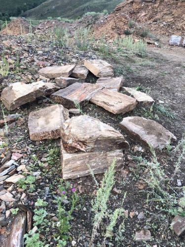 Плитняк кора дерева 50-100мм для пошаговых дорожек купить в Нижнем Тагиле